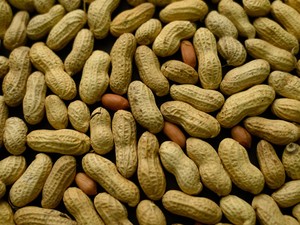 Comer amendoim desde cedo reduz risco de alergia, diz estudo anglo-americano